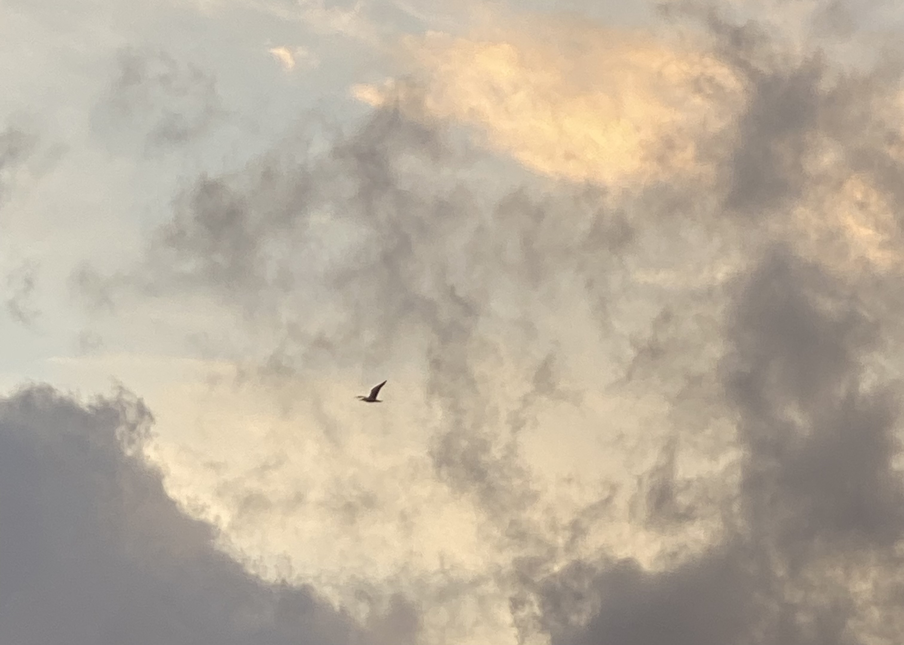 afbeelding van wolken